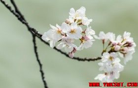 春天里-云南专业净水地暖污水水处